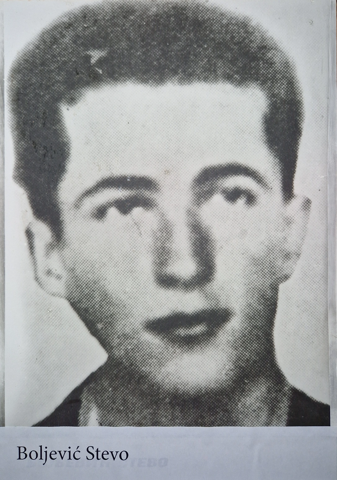 Boljević Stevo
