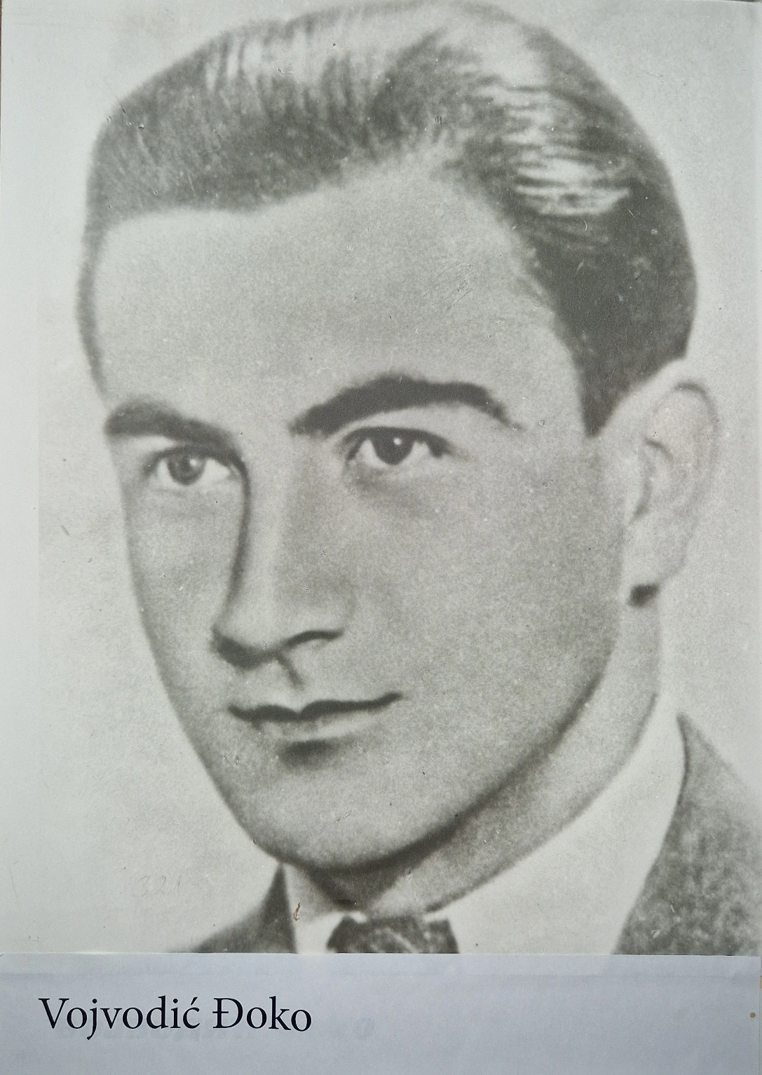 Vojvodić Đoko