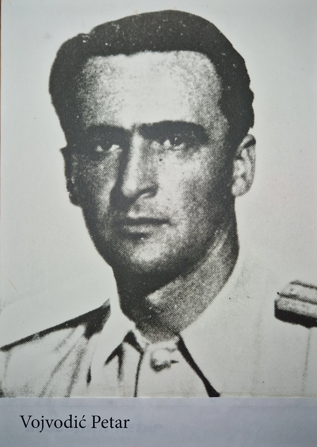 Vojvodić Petar