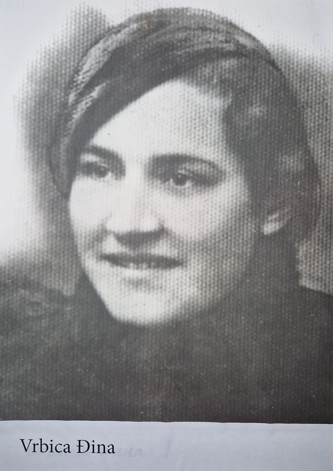 Vrbica Đorđina-Đina