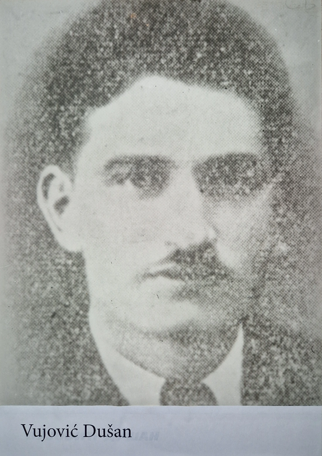 Vujović Dušan