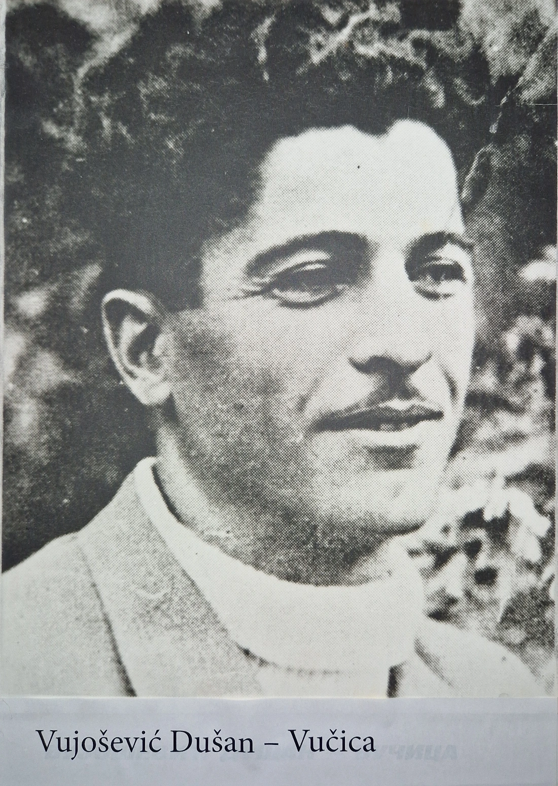 Vujošević Dušan