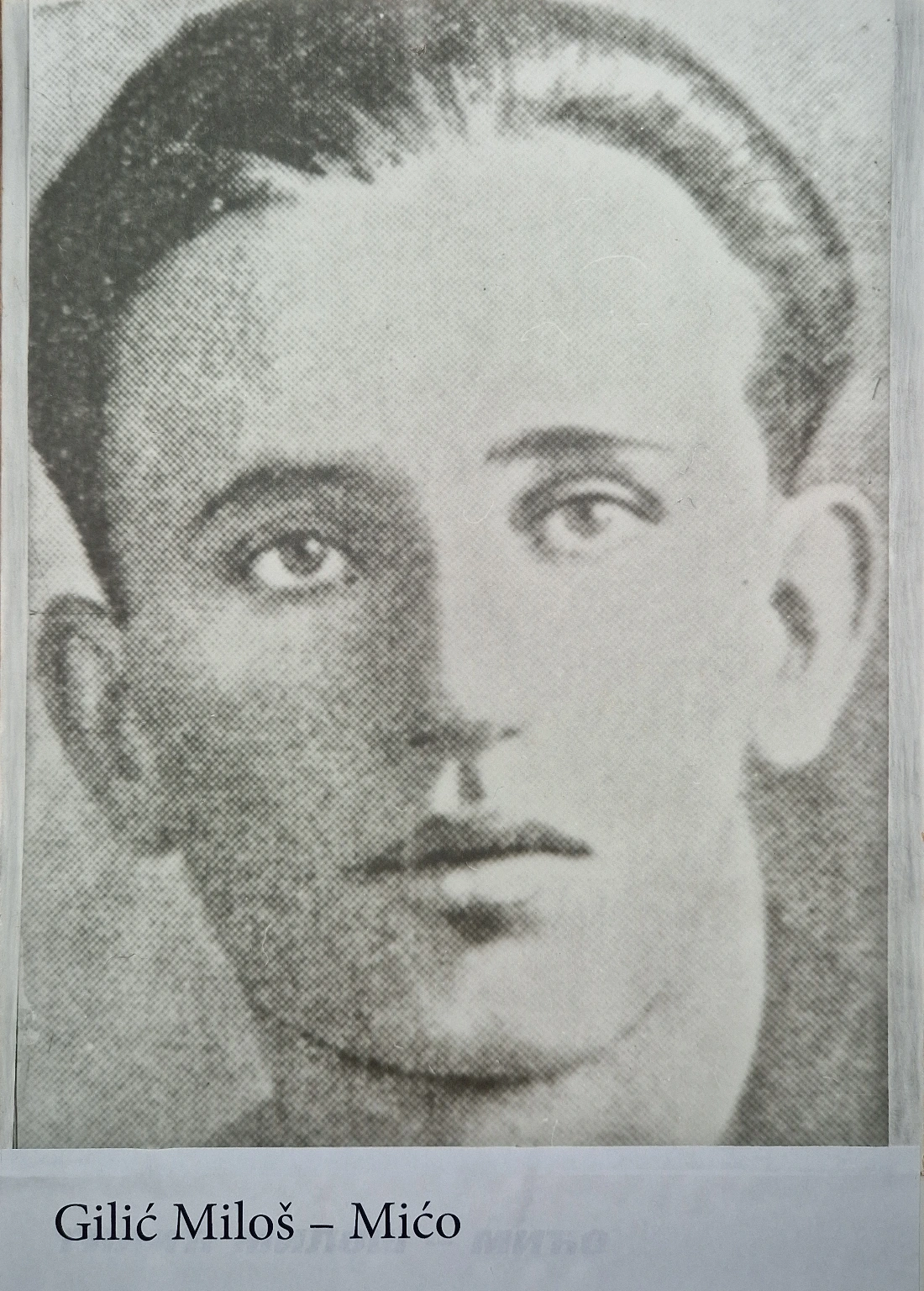 Gilić Miloš-Mićo