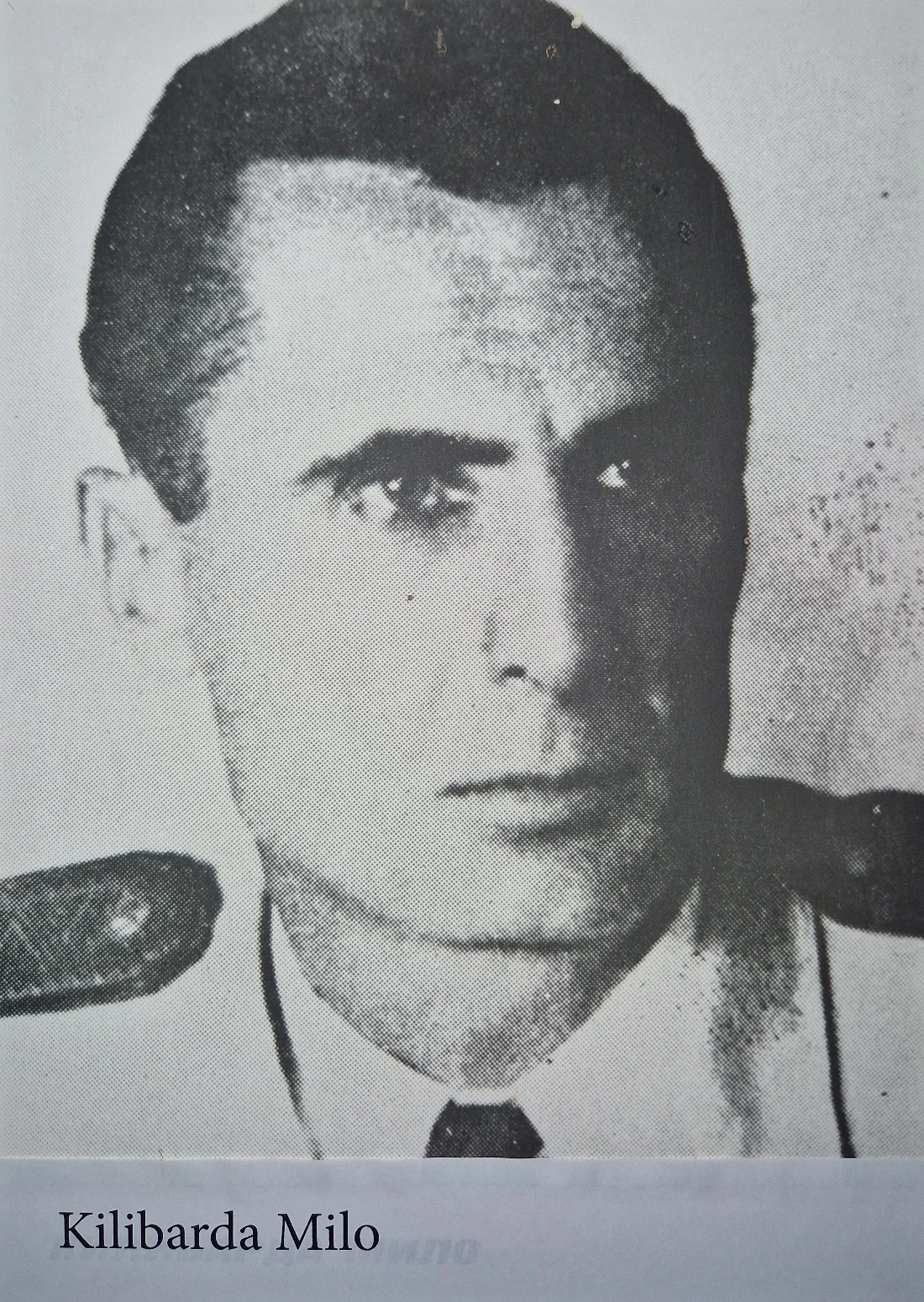 Kilibarda Milo