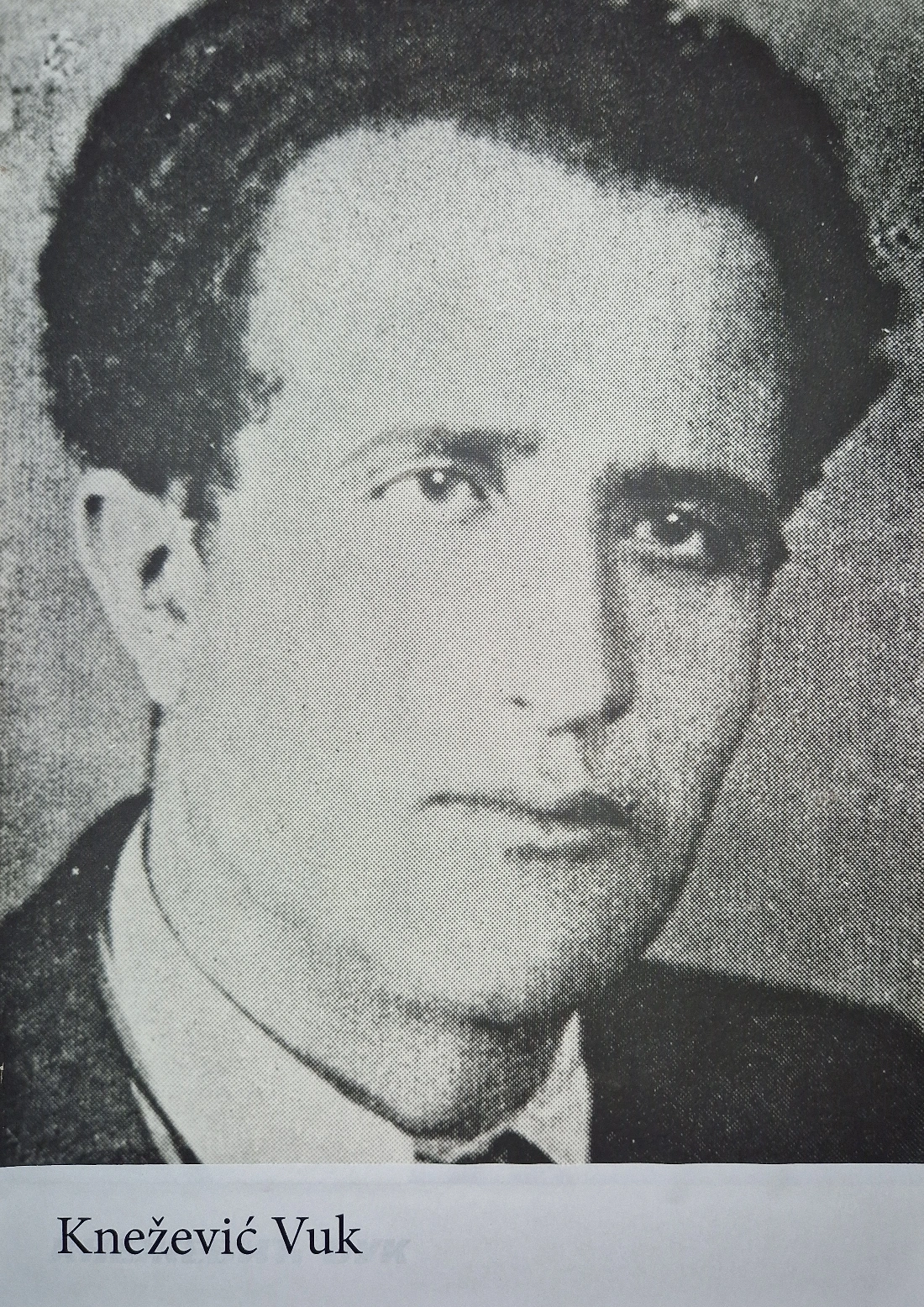 Knežević Vuk
