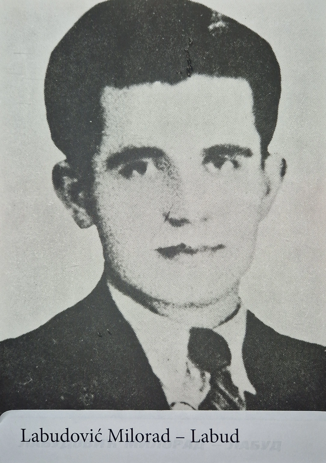 Labudović Milorad-Labud