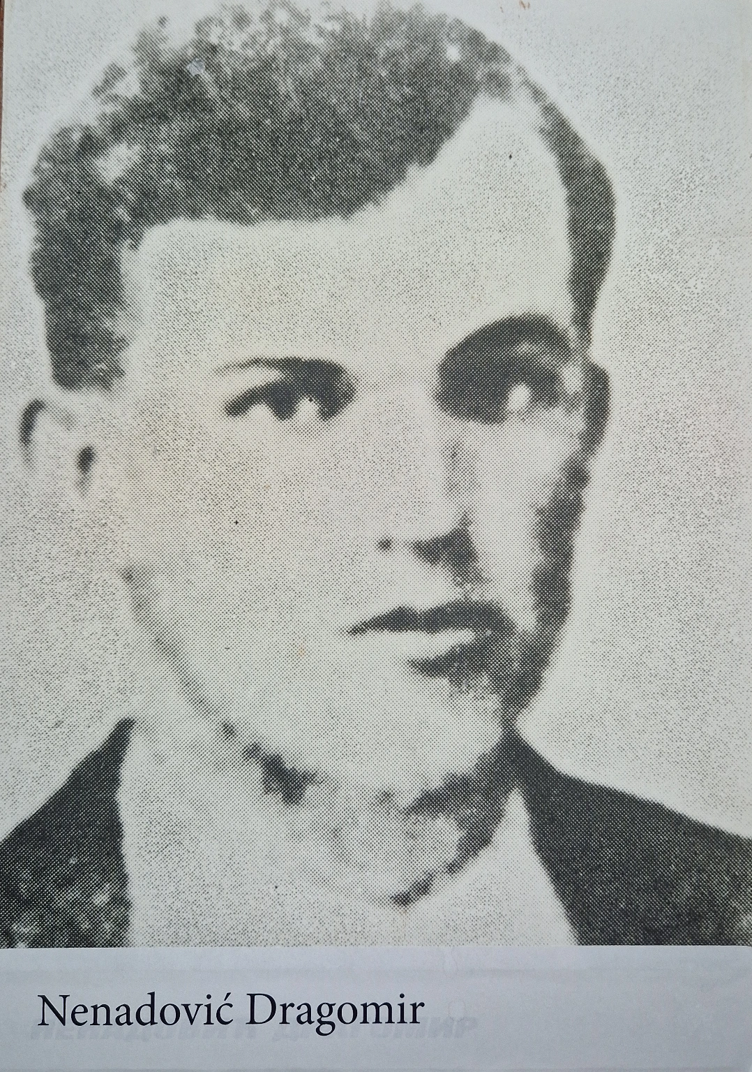Nenadović Dragomir