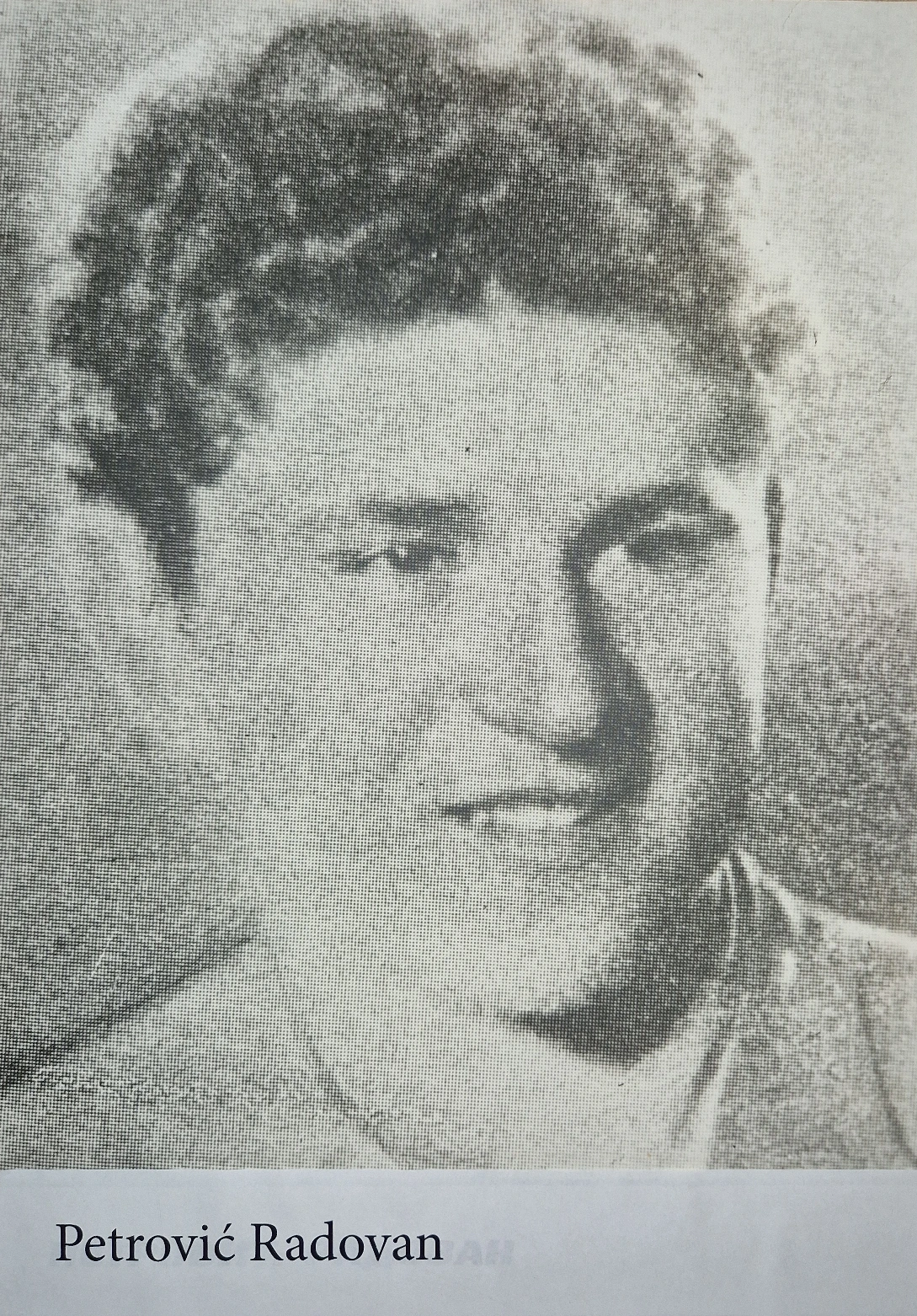 Petrović Radovan