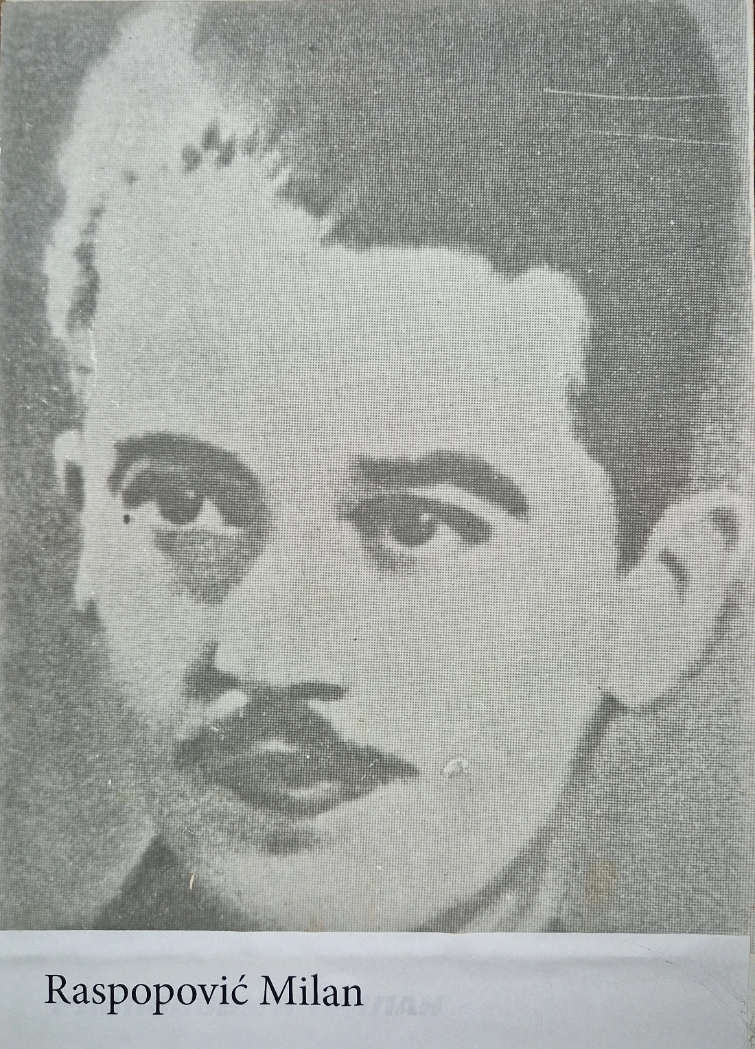 Raspopović Milan