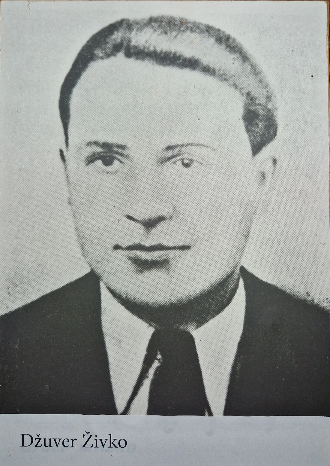 Džuver Živko